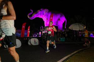 BIB: 
                            <button type="button" onclick="openModal(26535195)" class="btn btn-primary btn-sm float-right btn-popup" data-toggle="modal" data-target=".modal-high-quality">
                        <i class="fas fa-shopping-cart"></i> Add to Cart
                    </button>
                                            <button type="button" onclick="isThisMe(26535195, true)" class="btn btn-success btn-sm float-right btn-popup btn-isme hidden" data-toggle="tooltip" data-placement="bottom" title="นี่คือรูปของคุณใช่ไหม คลิกที่นี่เพื่อเอาเข้าอัลบั้ม">
                        <i class="fas fa-plus"></i> Add to album
                    </button>
                    <button type="button" onclick="isThisMe(26535195, false)" class="btn btn-warning btn-sm float-right btn-popup btn-isnotme hidden">
                        <i class="fas fa-ban"></i> Remove from album
                    </button>